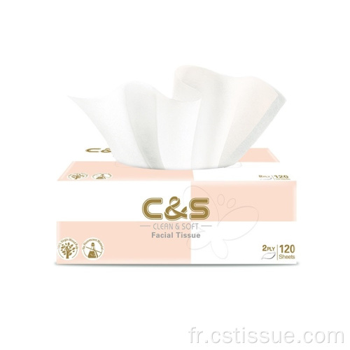 2 pli 120 feuilles de tissu facial